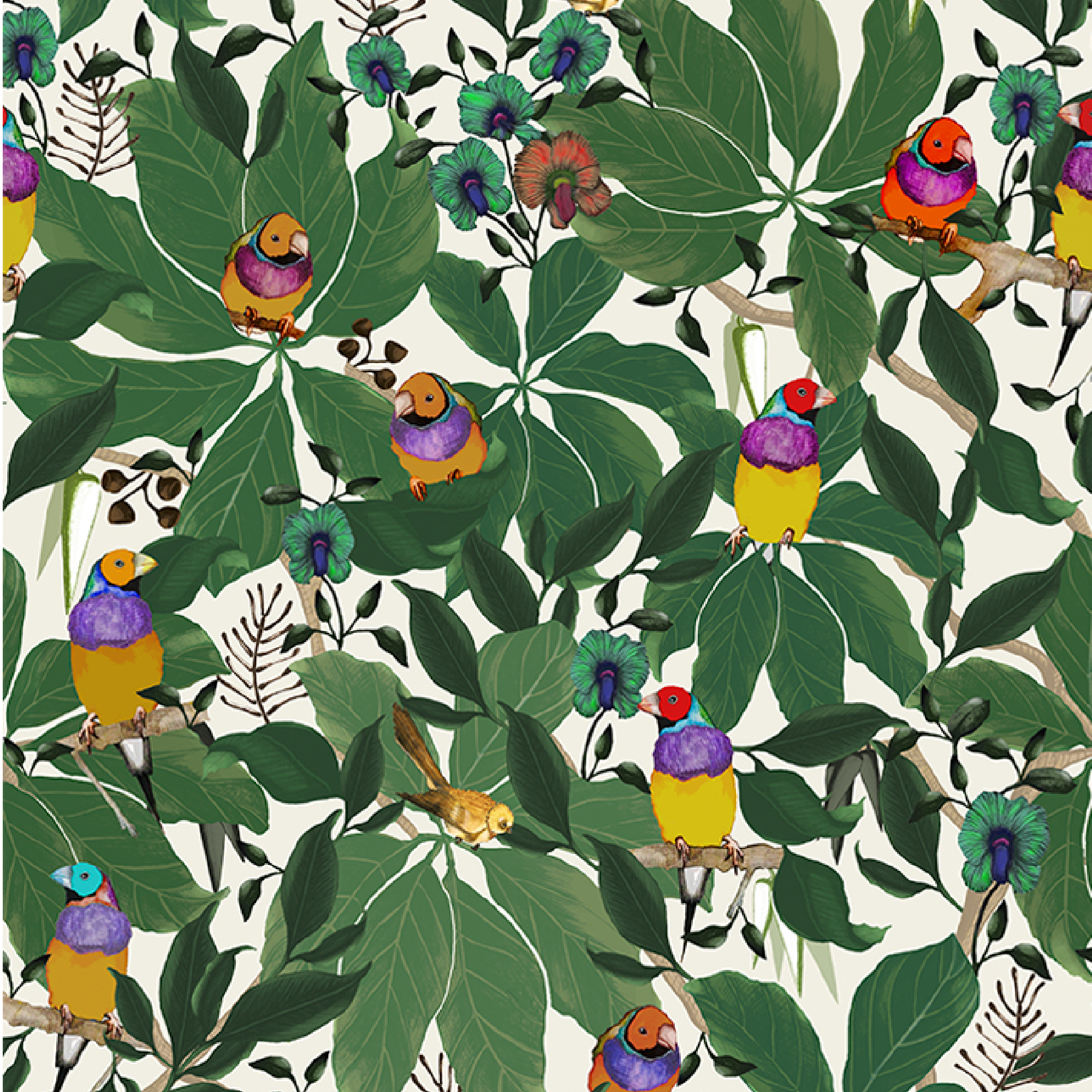 ijustlovethatfabricstore Finch Fabric - Gouldian Finch