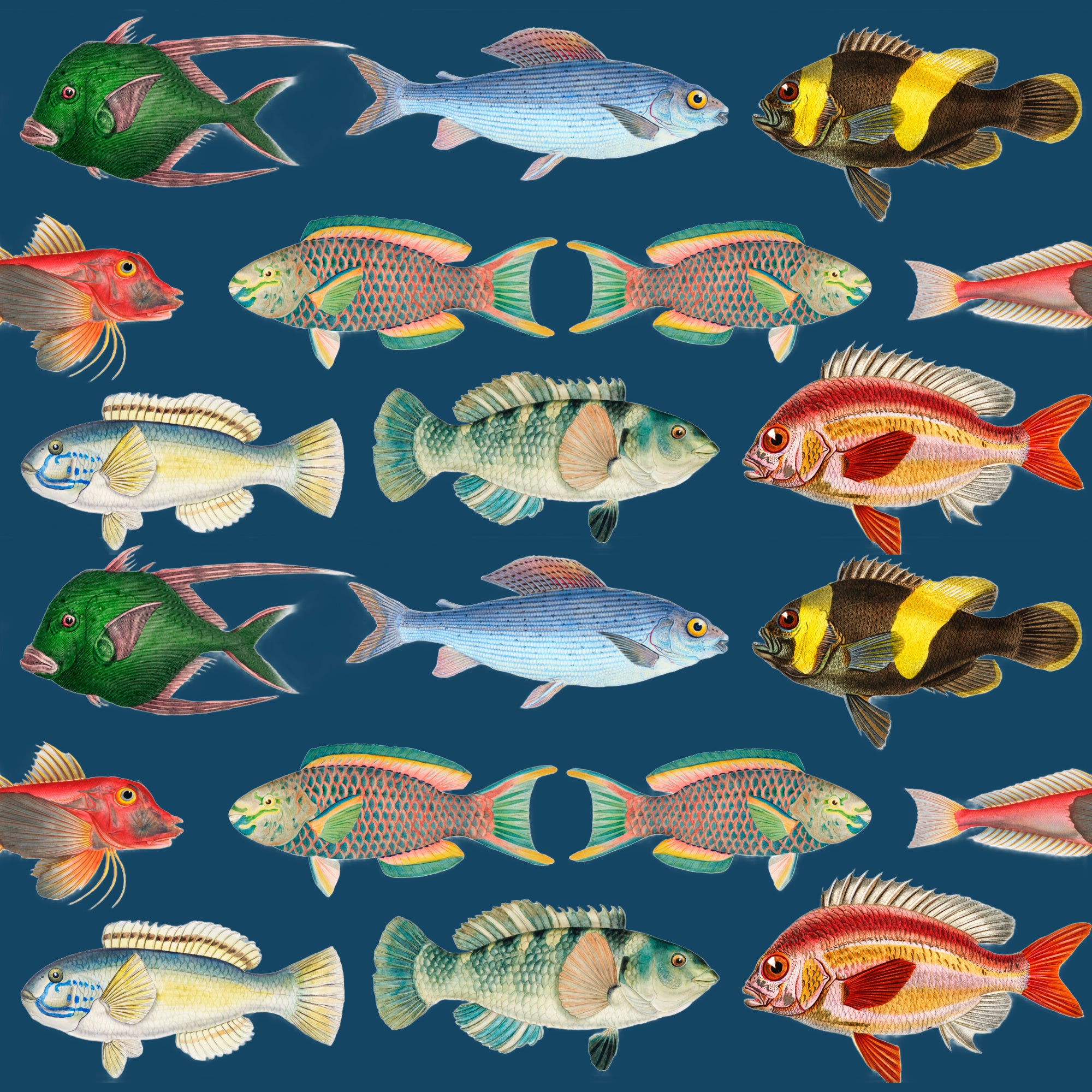 ijustlovethatfabricstore Fishing Around Fish Fabric- deep sea blue