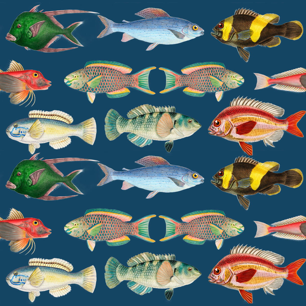 ijustlovethatfabricstore Fishing Around Fish Fabric