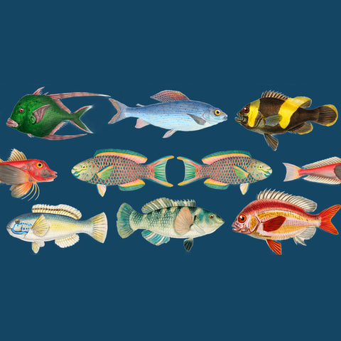 ijustlovethatfabricstore Fishing Around Fish Fabric Deep Sea Blue