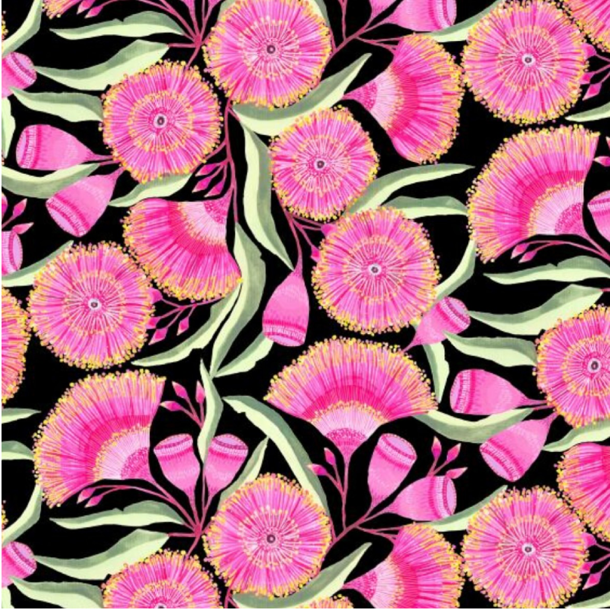 ijustlovethatfabricstore Australian Pink Gum Blossom Flower Fabric - black