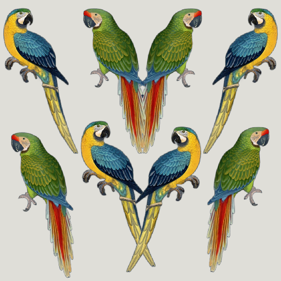 ijustlovethatfabricstore Parrot Love Fabric on natural linen base