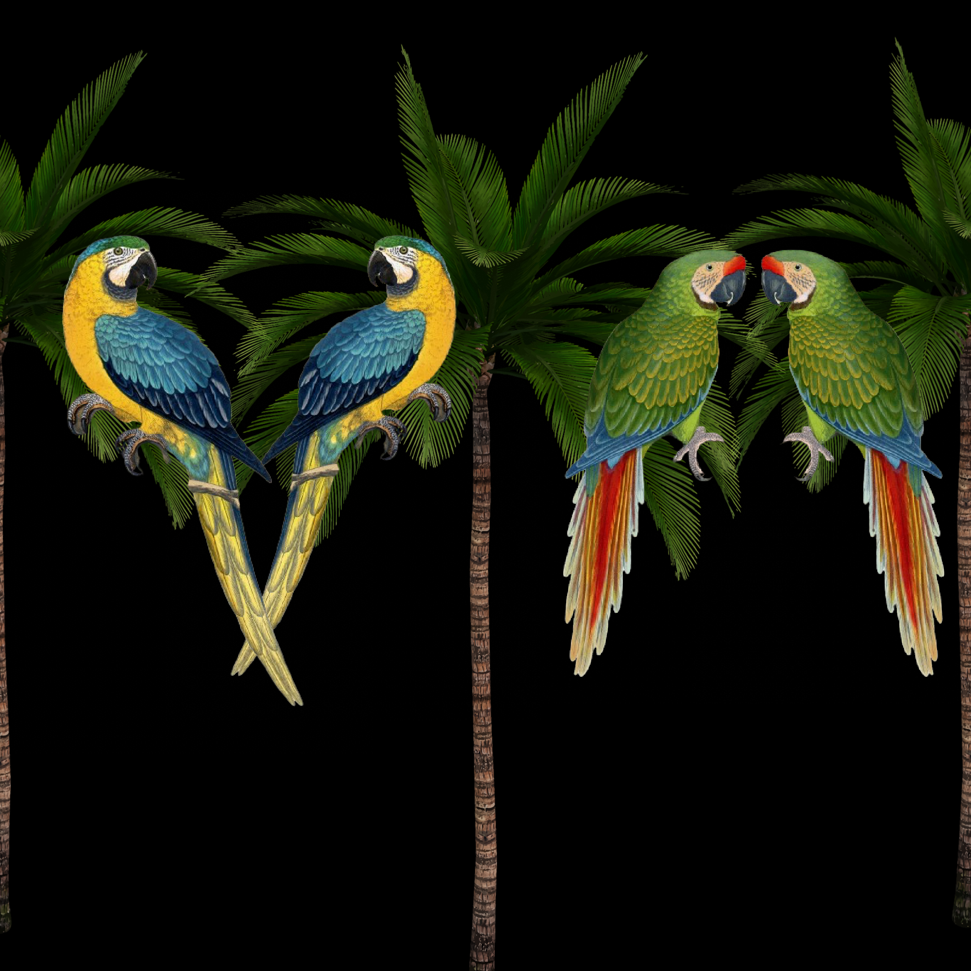 ijustlovethatfabricstore Parrots & Palms Fabric in black