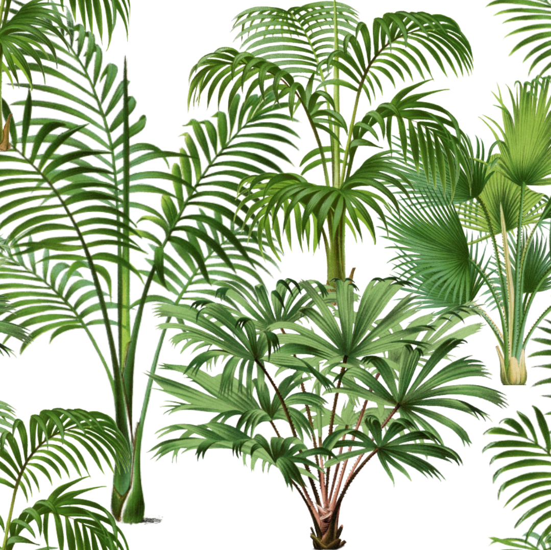 ijustlovethatfabricstore Palm Forest Fabric - white