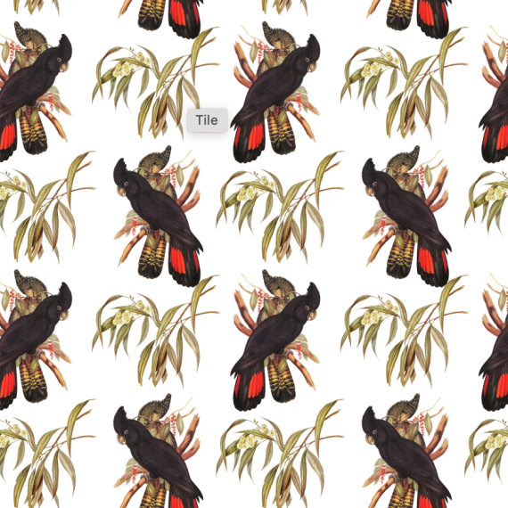 ijustlovethatfabricstore The Black Cockatoo fabric