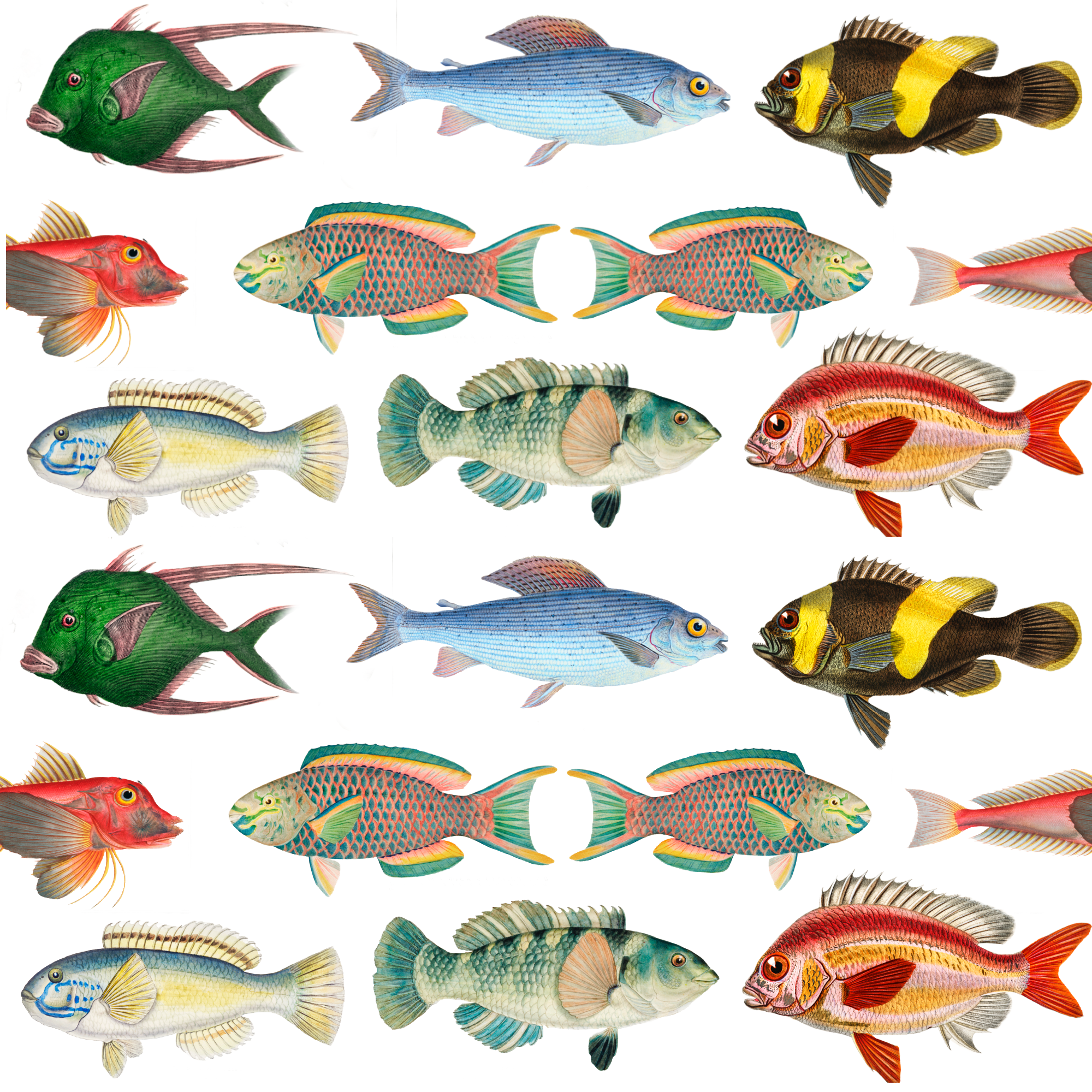 ijustlovethatfabricstore Fish Pond