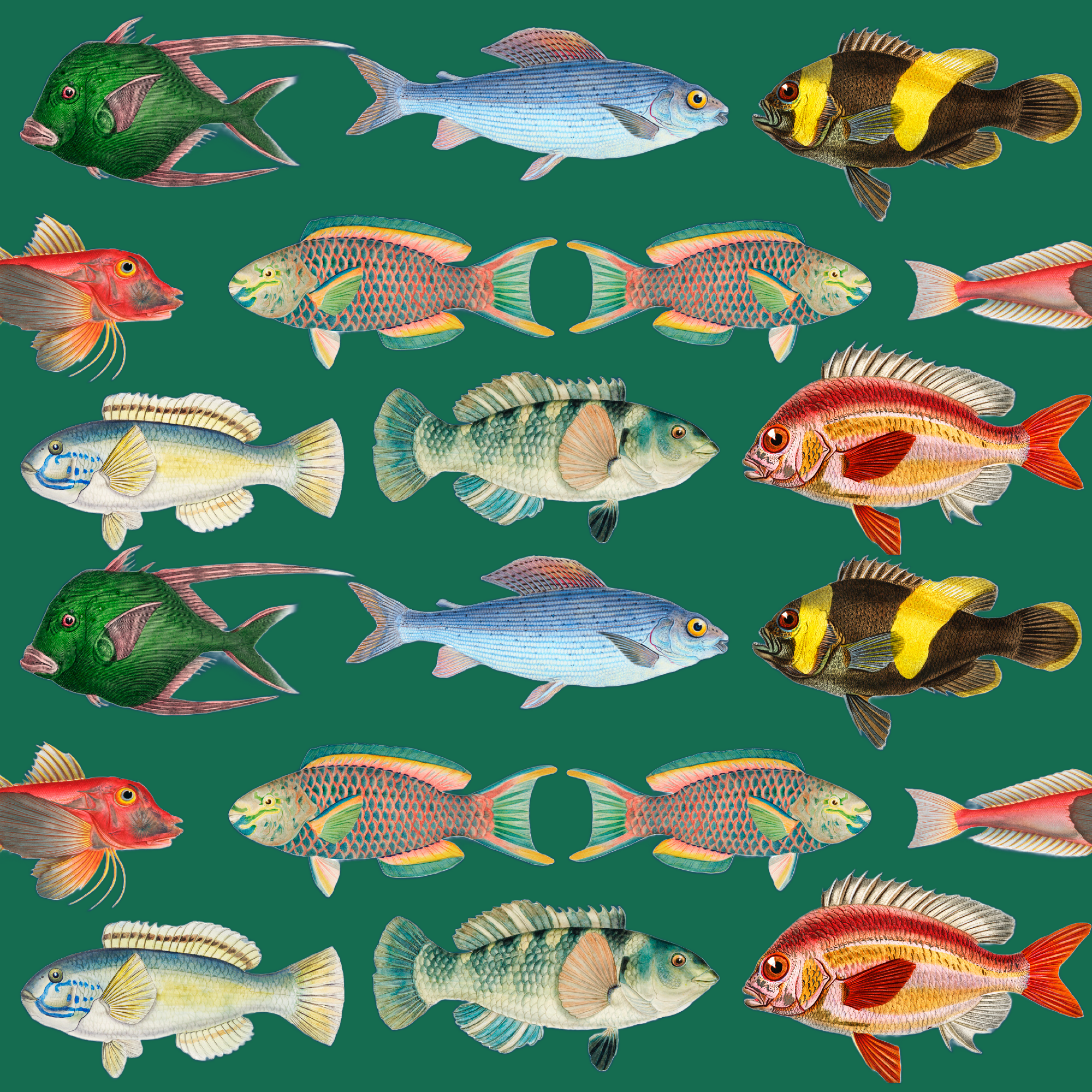 ijustlovethatfabricstore Fish Fabric -Fishing Around Fish Fabric- emerald ocean