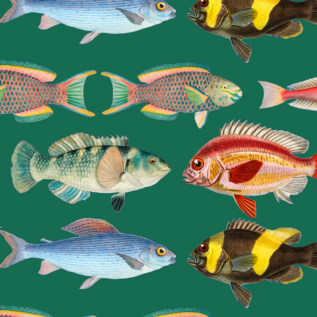 ijustlovethatfabricstore Fish Fabric -Fishing Around Fish Fabric- emerald ocean