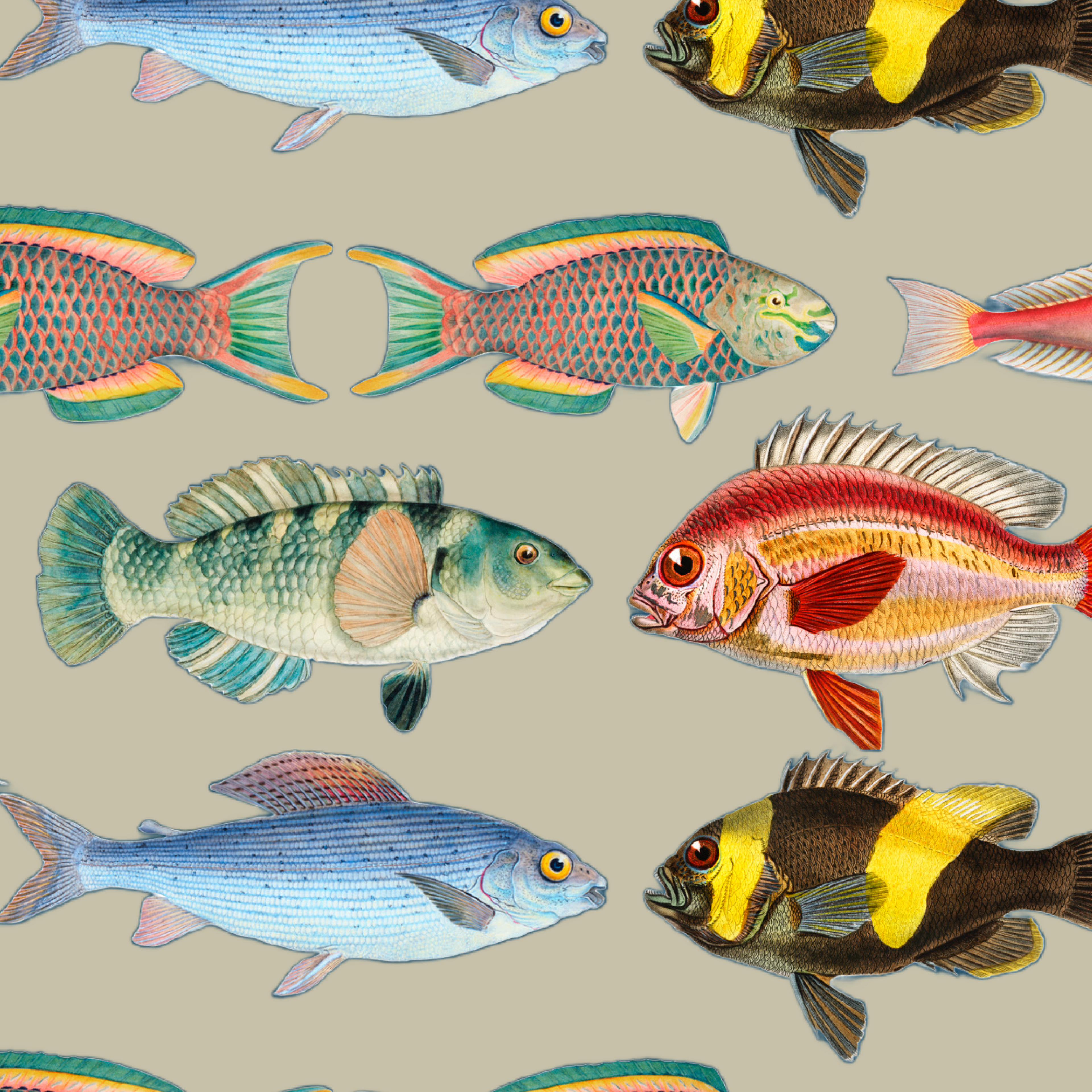 ijustlovethatfabricstore Fish Fabric - Fishing Around Fish Fabric - natural 100% linen