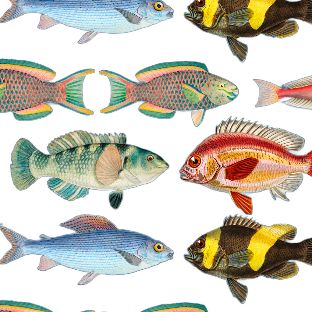 ijustlovethatfabricstore Fish Fabric - Fishing Around Fish Fabric -  on coastal white