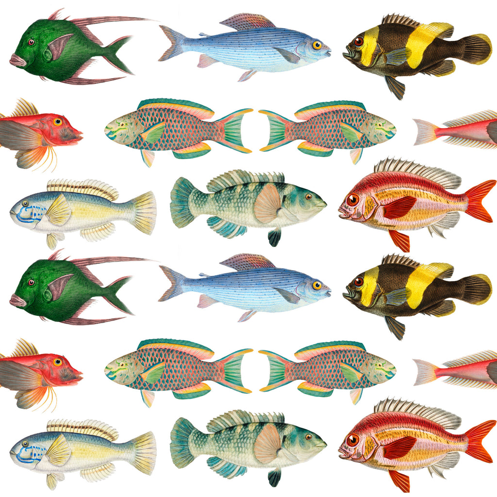 ijustlovethatfabricstore Fish Fabric - Fishing Around Fish Fabric -  on coastal white