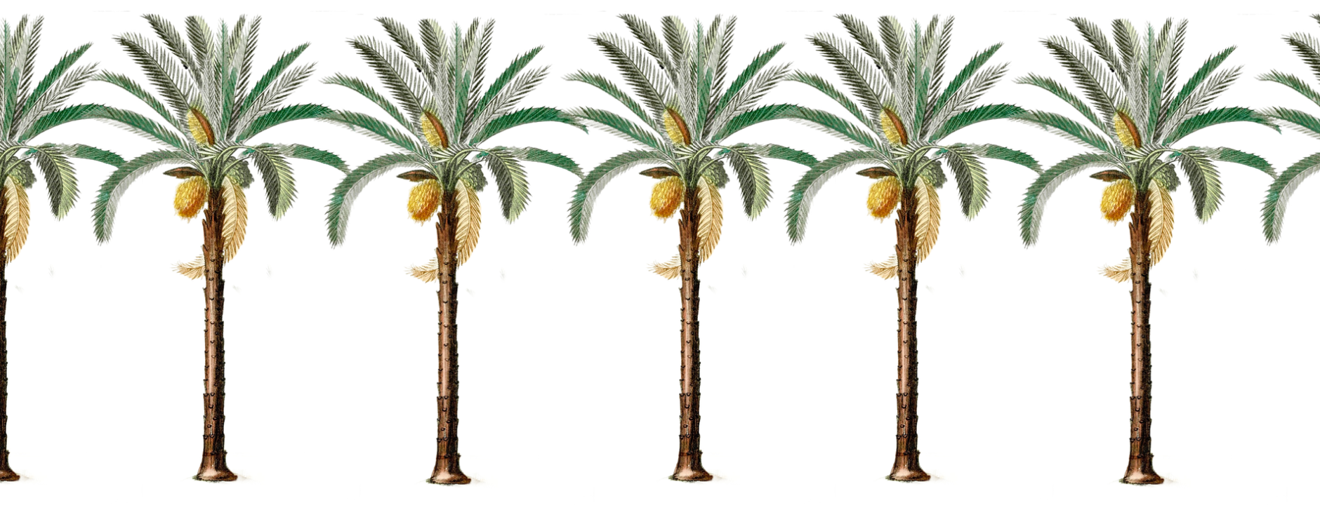 jungle palm tree fabric