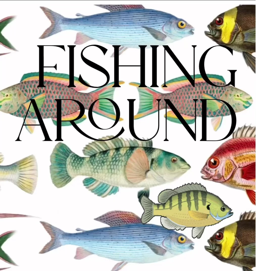 Fishing Around Fish Fabric -  on coastal white