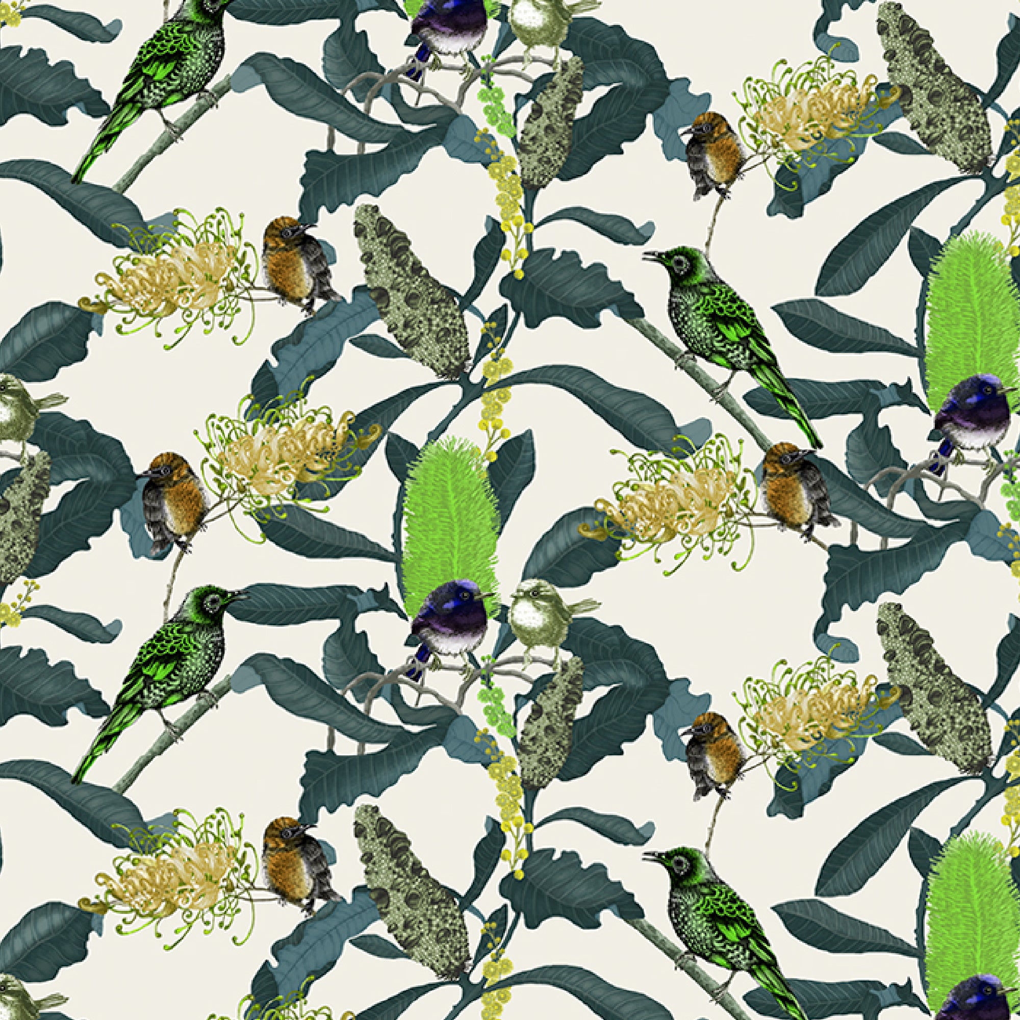 ijustlovethatfabricstore Fairy Wren & Banksia Fabric Lime