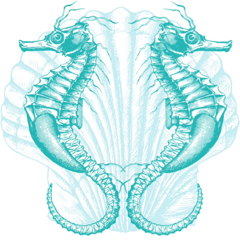 ijustlovethatfabricstore Seahorses and Sea Shell Fabric - Teal and white