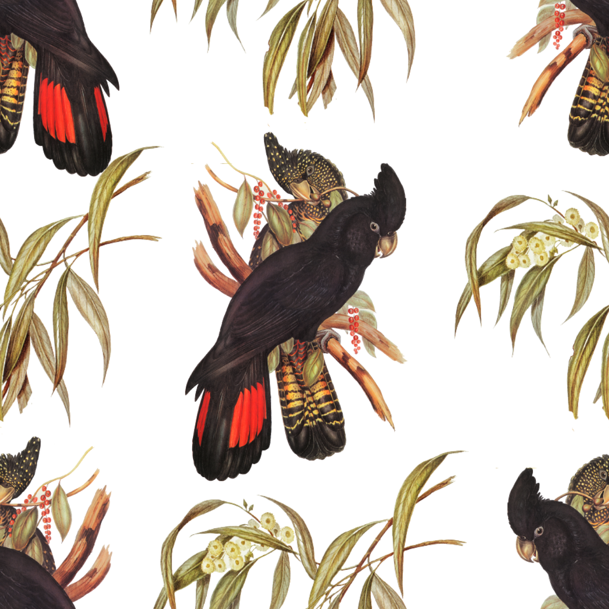 ijustlovethatfabricstore The Black Cockatoo fabric