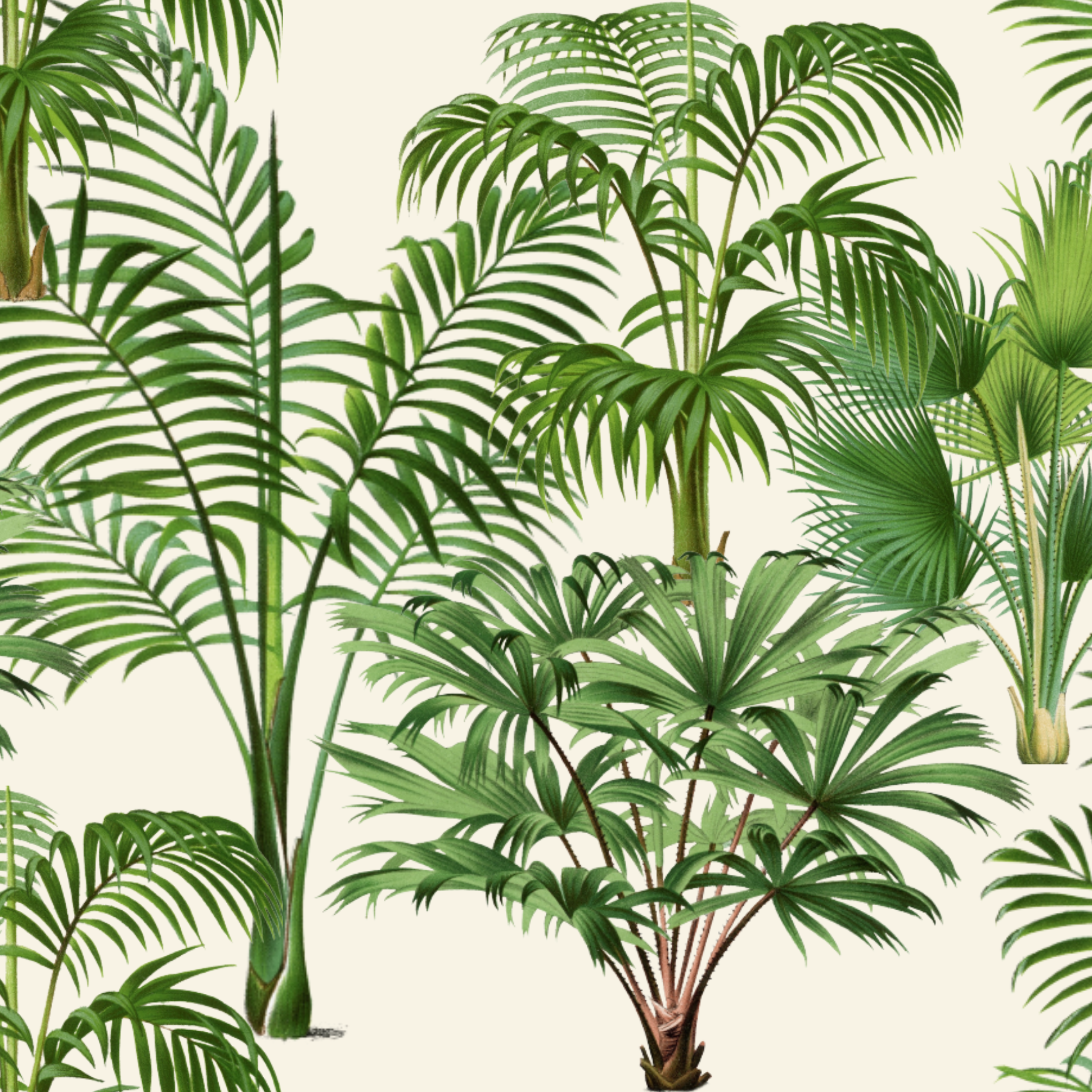 ijustlovethatfabricstore Palm Forest Fabric - Cream